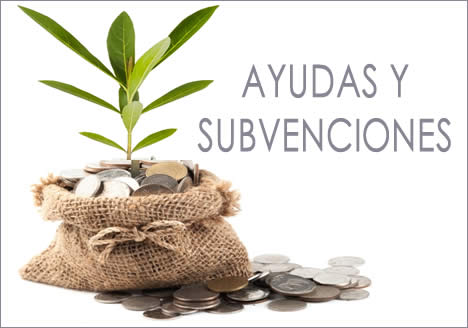 Subvenciones