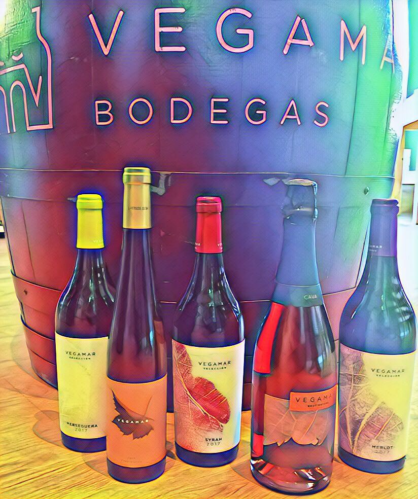 Cata de vinos Bodegas Vegamar